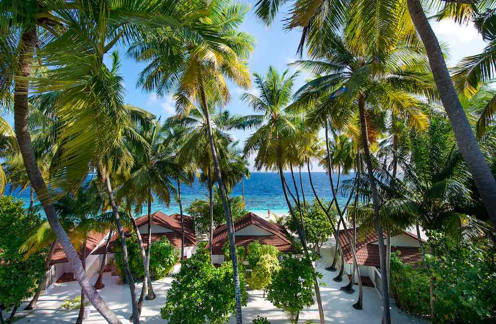 Beach Bungalow photo 11